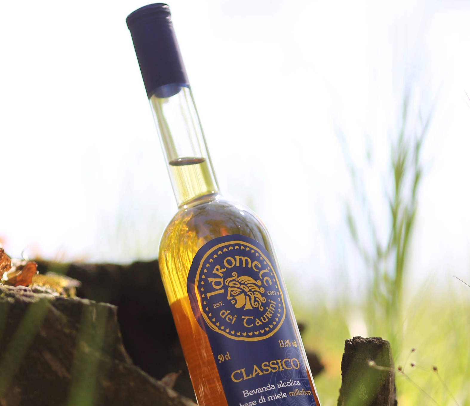 Bottiglia di Idromele dei Taurini Classico Cos'è l'idromele - bottiglia di Idromele Classico dei Taurini