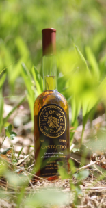 Bottiglia di Idromele dei Taurini al Castagno Vendita Idromele dei Taurini al Castagno