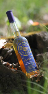 Bottiglia di Idromele dei Taurini Classico Bottiglia di Idromele dei Taurini Classico