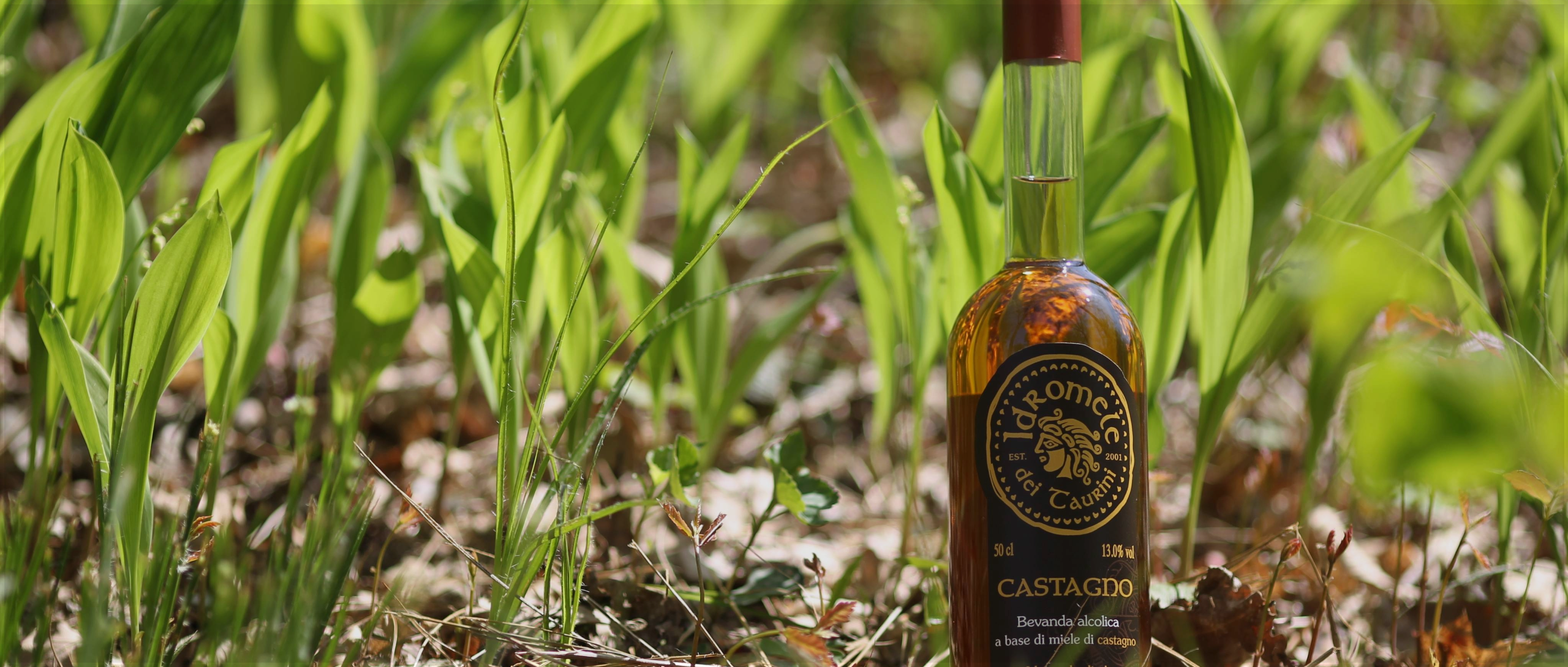 Bottiglia di Idromele dei Taurini al Castagno