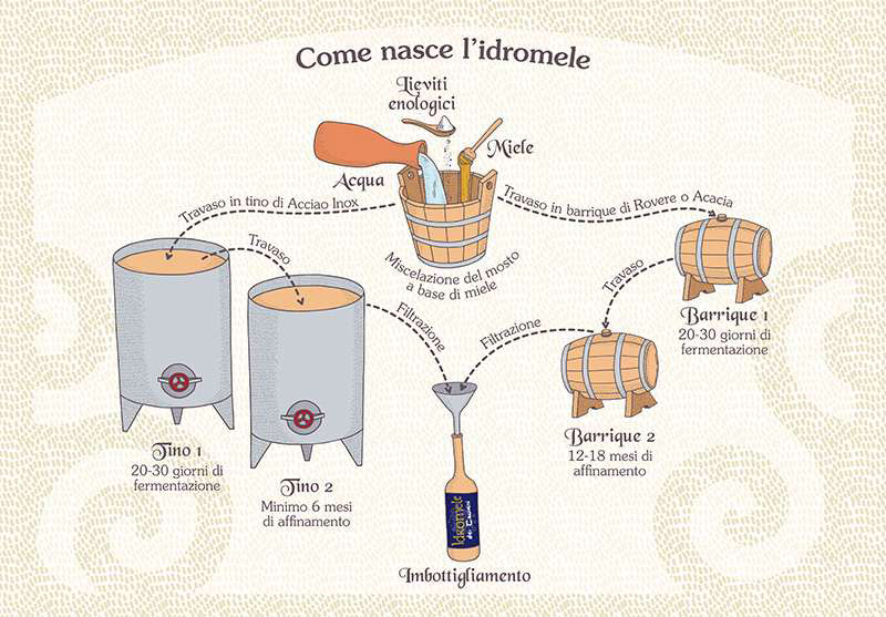 Schema delle fasi di produzione e fermentazione dell’idromele Schema delle fasi di produzione e fermentazione dell'idromele