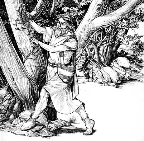 Calderone di Hochdorf, reperto archeologico con tracce di idromele